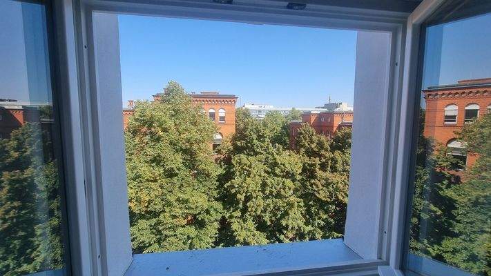 Ausblick in die Lynarstraße