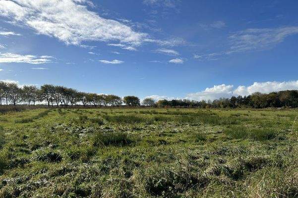 Weitblick nach Süd-West