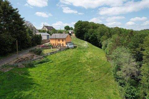 Daleiden Häuser, Daleiden Haus kaufen