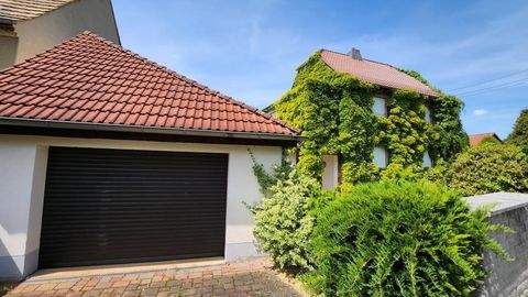 Regis-Breitingen Häuser, Regis-Breitingen Haus kaufen