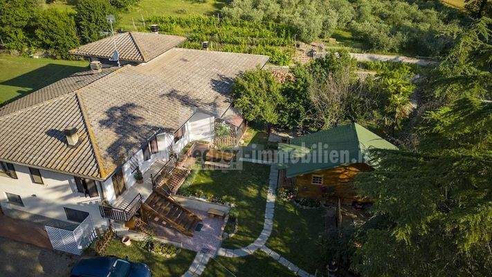 Villa-Toscana-casa-vacanza-appartamento-sogno-olivi-vini-Firenze-Siena-Assisi-pace-silenzio-casa-unifamiliare
