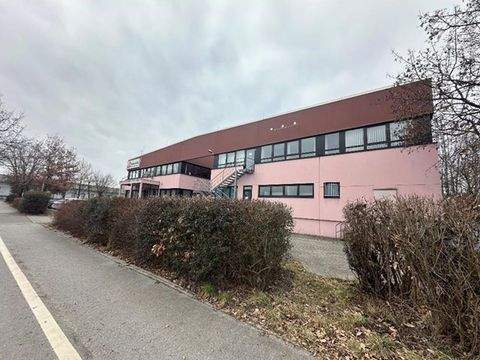 Straubing Halle, Straubing Hallenfläche