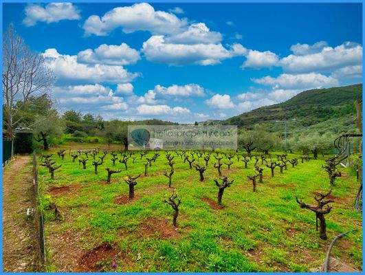 6e82ed5212a441678bba097a54122804-original