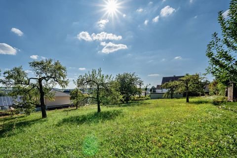 Buchen Grundstücke, Buchen Grundstück kaufen