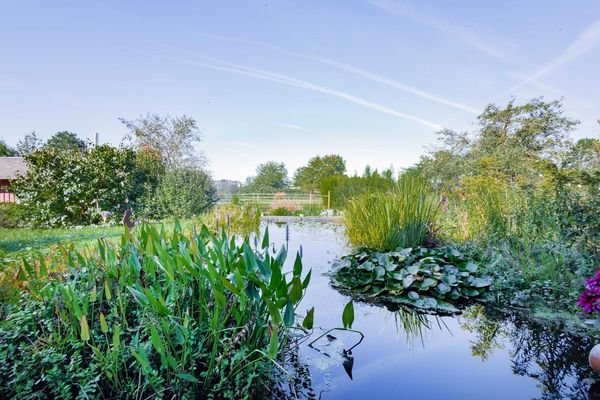 ...und angrenzendem Teich in charmanter Idylle.