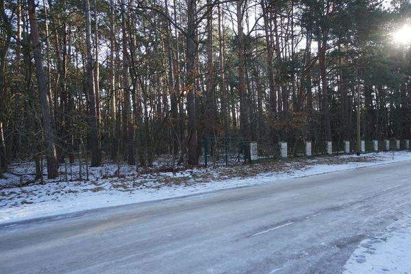 Am Grundstück Straßenseite (5).jpg