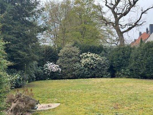 Mit Solitär-Gehölzen