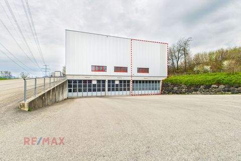 Rankweil Halle, Rankweil Hallenfläche