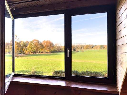 Blick auf Wiesen und Wälder