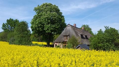 Felde Häuser, Felde Haus kaufen