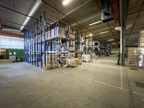 Düsseldorf Halle, Düsseldorf Hallenfläche