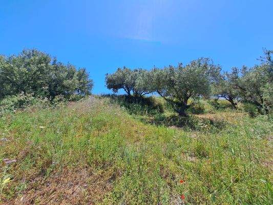 WhatsApp Image 2026-03-16 at 13.41.17.jpeg