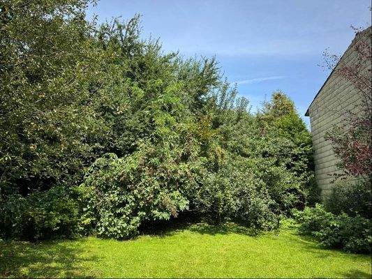 bestehende Doppelhaushälfte - Grenze, Nachbargrundstück