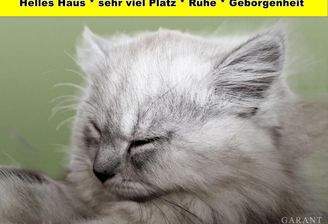 Sehr viel Platz * Ruhe * Geborgenheit