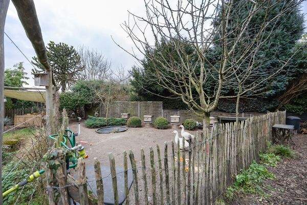 Gänse/Hühner Auslauf