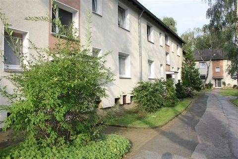 Mülheim Wohnungen, Mülheim Wohnung mieten