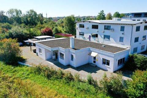 Friedrichshafen Halle, Friedrichshafen Hallenfläche