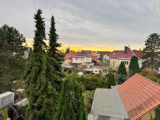 Blick auf den Garten