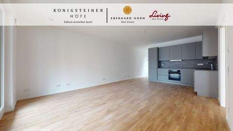 Königstein Wohnungen, Königstein Wohnung mieten