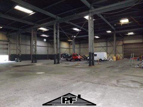 Salzgitter Halle, Salzgitter Hallenfläche