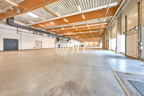 Bitterfeld-Wolfen Halle, Bitterfeld-Wolfen Hallenfläche