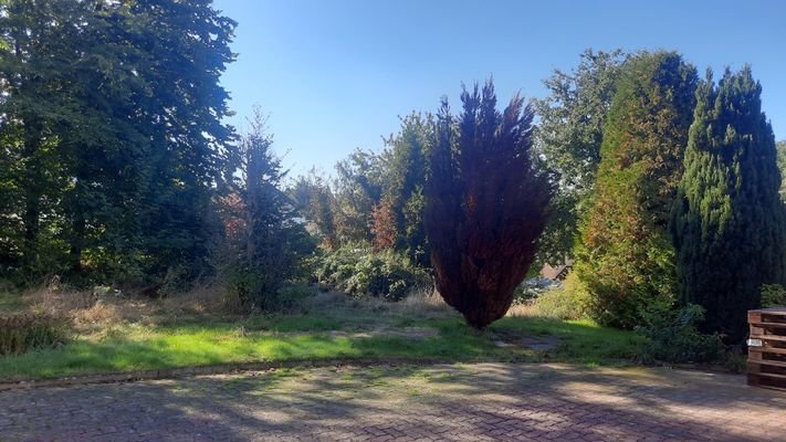 Baugrundstück