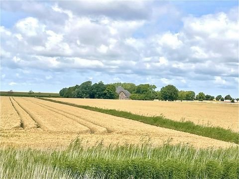 Norderfriedrichskoog Häuser, Norderfriedrichskoog Haus kaufen