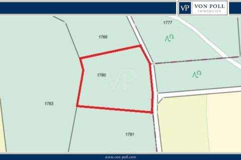 Neuhof an der Zenn Bauernhöfe, Landwirtschaft, Neuhof an der Zenn Forstwirtschaft