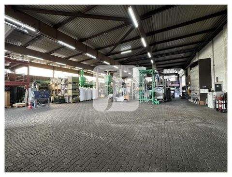 Seevetal Halle, Seevetal Hallenfläche