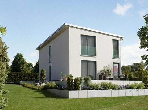 Erbes-Büdesheim Häuser, Erbes-Büdesheim Haus kaufen