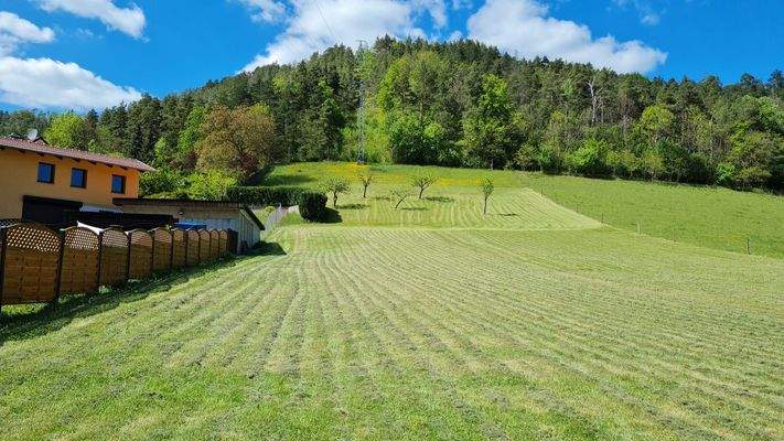 Blick auf das Grundstück.jpg