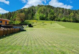 Blick auf das Grundstück.jpg