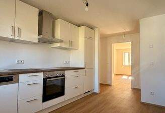 Die hochwertige Einbauküche