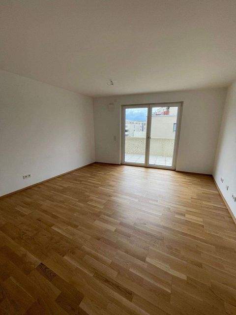 Stein Wohnungen, Stein Wohnung mieten