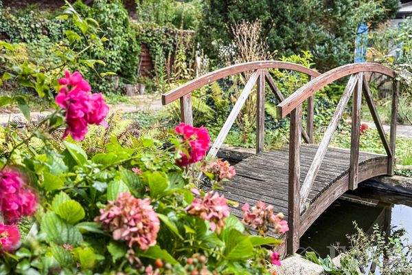 Steg über Gartenteich