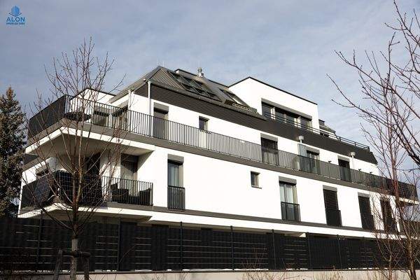 Bild 36