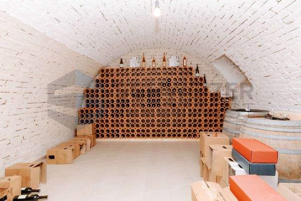 Gewölbe-/Weinkeller