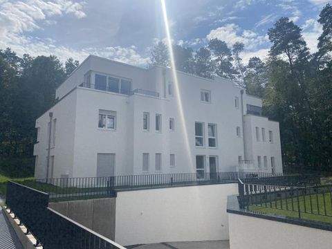Homburg Wohnungen, Homburg Wohnung mieten