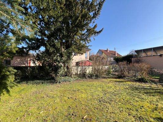 schöner  Garten.jpeg