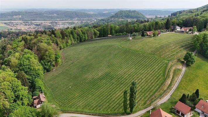 Bockberg-Weinberg in Wildon