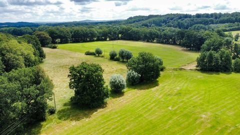 Tecklenburg Bauernhöfe, Landwirtschaft, Tecklenburg Forstwirtschaft