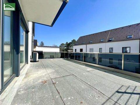 Achau Häuser, Achau Haus kaufen