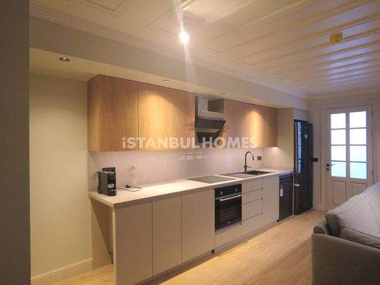 Historic Apartments in Central Location in Beyoglu Istanbul