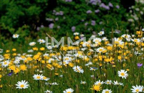Linz Wohnungen, Linz Wohnung kaufen