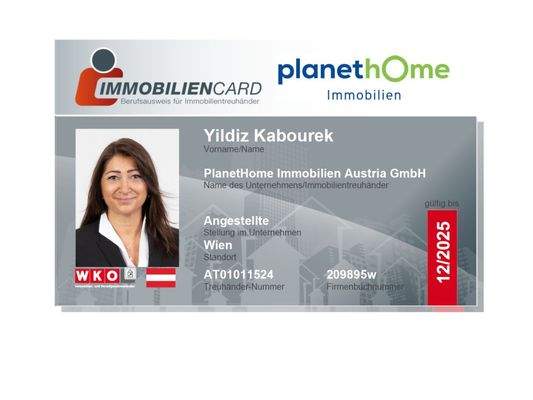 Immobiliencard Yildiz Kabourek