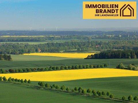 Selsingen Bauernhöfe, Landwirtschaft, Selsingen Forstwirtschaft