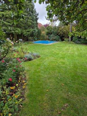 20251007_135831 Garten K17.jpg