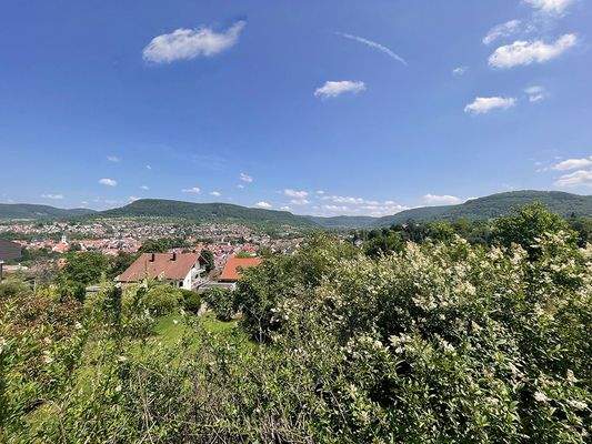 Aussicht obere Gartengrenze