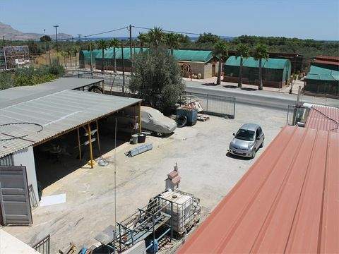 Rhodos Bauernhöfe, Landwirtschaft, Rhodos Forstwirtschaft