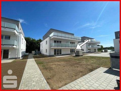 Lauingen Wohnungen, Lauingen Wohnung mieten